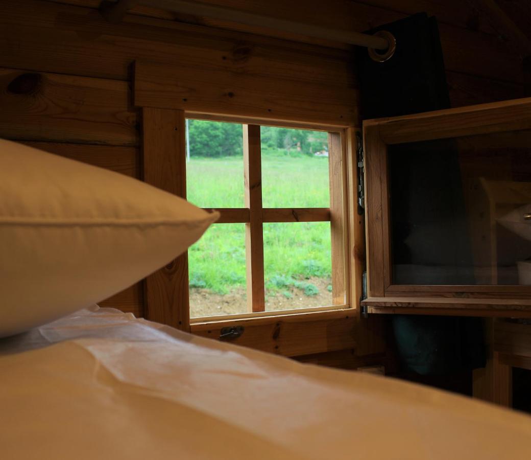 Chalet Ariegeois Saint-Ybars Exterior foto
