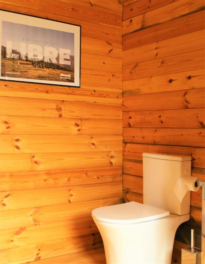 Chalet Ariegeois Saint-Ybars Exterior foto